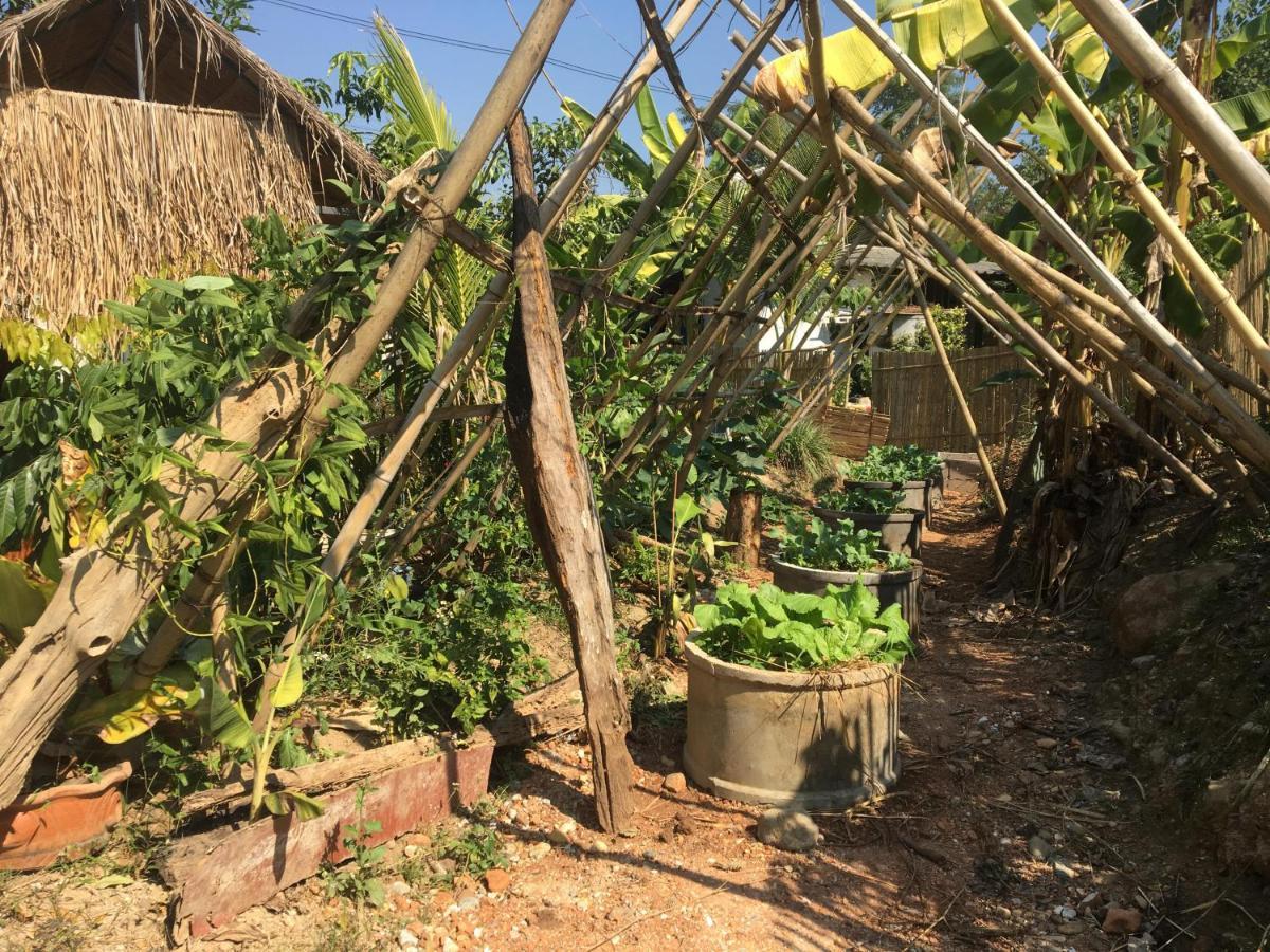 Thong Family Homestay Chiangdao Chiang Dao Exterior foto